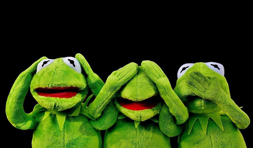Frog Heaven